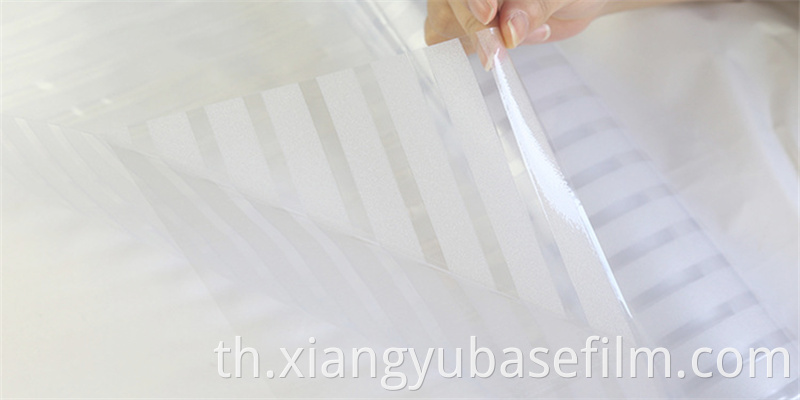 Glass Protection Film
